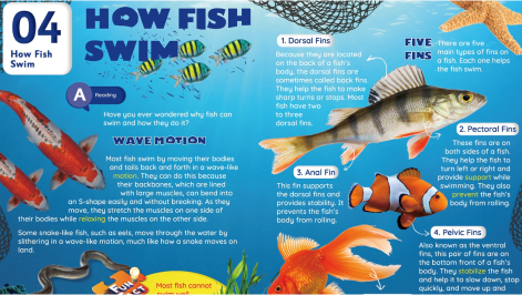 /assets/images/pages/course/course-book-reader-02