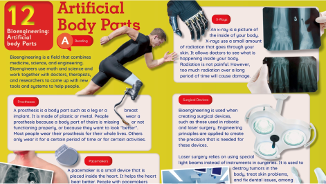 /assets/images/pages/course/course-book-reader-04